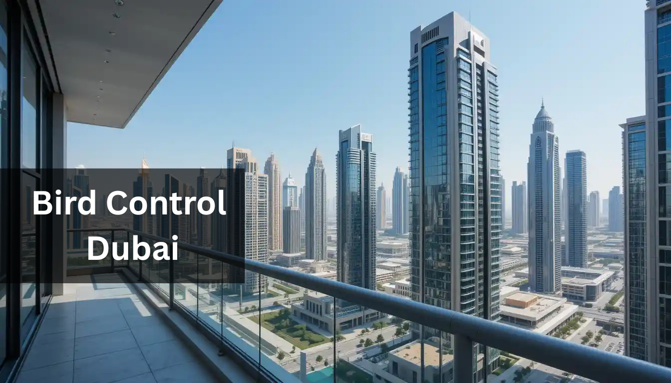 Bird Control Dubai