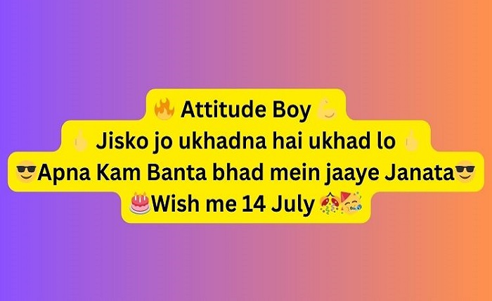 इंस्टाग्राम बायो इन हिंदी attitude boy